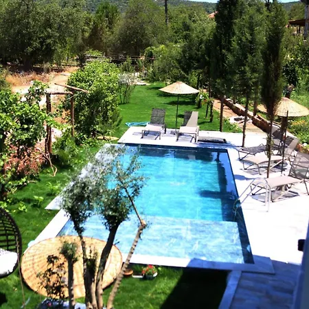 Willa Villa Rosemary Kas